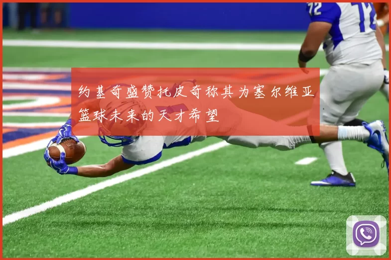 约基奇盛赞托皮奇称其为塞尔维亚篮球未来的天才希望