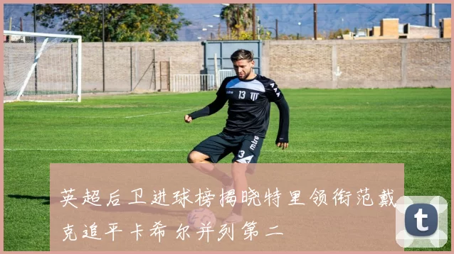 英超后卫进球榜揭晓特里领衔范戴克追平卡希尔并列第二
